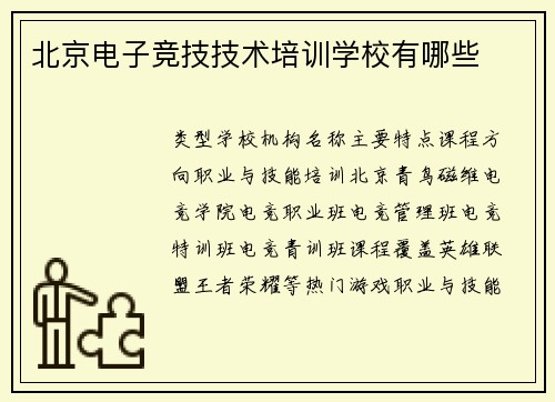 北京电子竞技技术培训学校有哪些